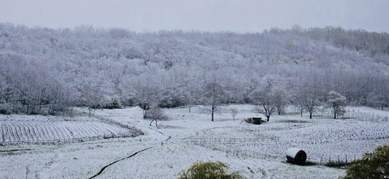 /METEO/ Cer noros și precipitații slabe. Câte grade vom avea luni, 29 decembrie