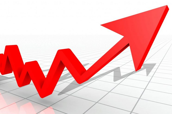 PIB-ul Moldovei a crescut în ultimul trimestru. Domeniile ce au contribuit la majorare