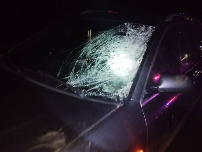 Pieton tamponat mortal pe traseul G88. Șoferul – o tânără de 22 de ani