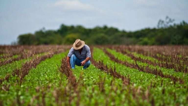 AIPA a autorizat plățile în avans pentru susținerea agricultorilor
