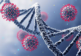 Covidul bate în retragere. În a doua săptămână din 2026, nici un caz înregistrat