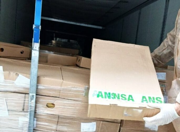 21 de tone de carne de pui, blocate la frontieră. Ce au găsit inspectorii ANSA
