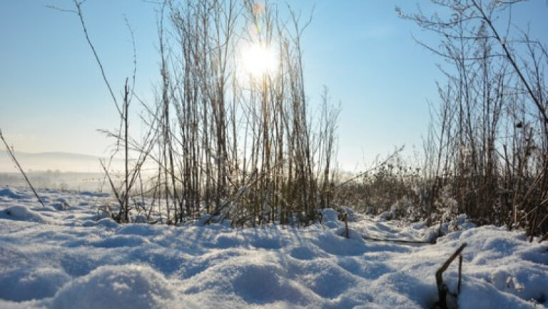 /METEO/ Vremea se redresează. Cer variabil și temperaturi agreabile. Prognoza pentru joi și următoarele 5 zile