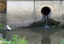 Administratorul unei întreprinderi municipale din Anenii Noi, trimis în judecată pentru poluarea râului Bâc