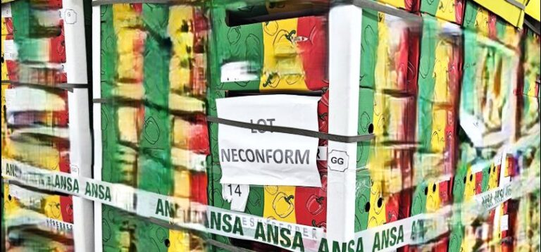 Lot masiv de legume de import cu risc major pentru sănătatea publică depistat și eliminat de pe piață de ANSA