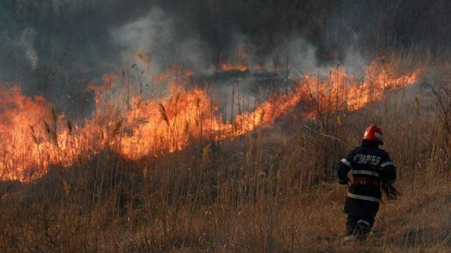 Incendii în 11 raioane din Moldova. Peste 180 de hectare distruse de flăcări