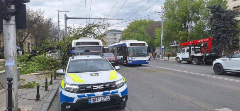 (FOTO) Un copac s-a prăbușit peste un troleibuz în centrul Chișinăului. Serviciile municipale au intervenit de urgență