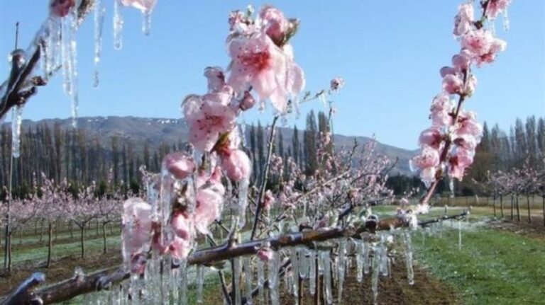 Atenție nordul țării! Meteorologii au emis COD GALBEN