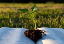 ANSA a publicat Catalogul soiurilor de plante pentru 2026