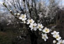METEO: Final de săptămână mai răcoros: nori, ploi slabe și vești mai bune pentru duminică