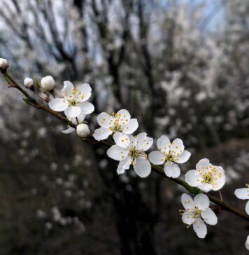 METEO: Final de săptămână mai răcoros: nori, ploi slabe și vești mai bune pentru duminică