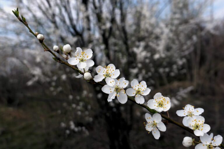 METEO: Final de săptămână mai răcoros: nori, ploi slabe și vești mai bune pentru duminică