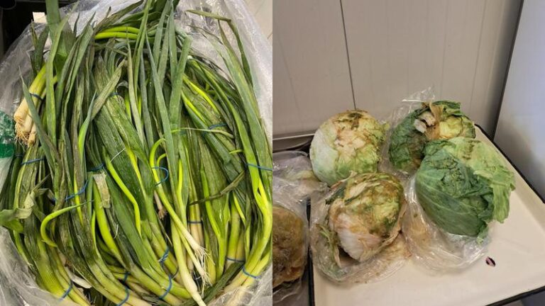 ANSA a blocat la frontieră peste 10 tone de legume alterate