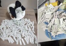 Tentativă de contrabandă cu pastile psihotrope, dejucată la Aeroportul Chișinău