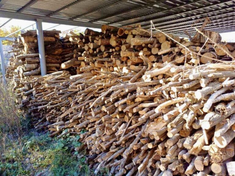 Preț unic și 30 de depozite în toată Moldova la lemnele pentru foc. Începe reforma Moldsilva