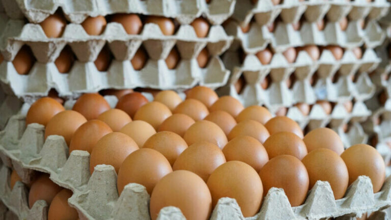 Noi reguli privind comercializarea ouălor. Acestea vor avea etichete mai clare