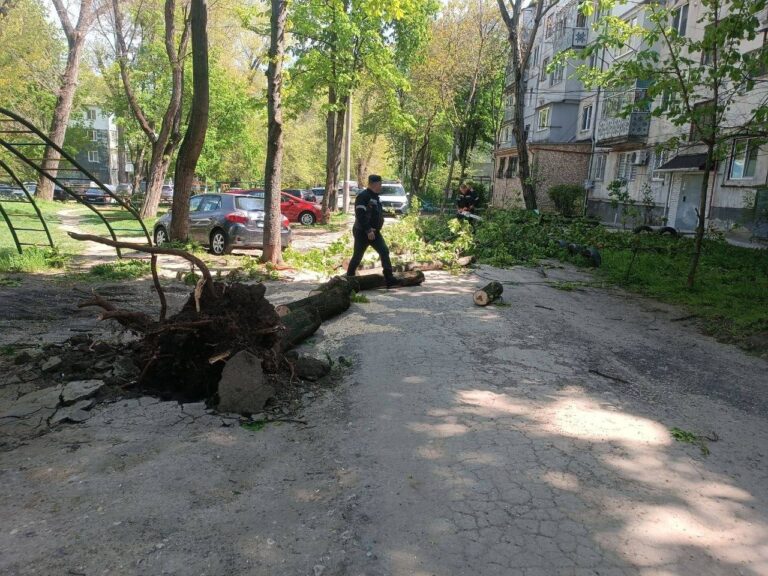 Un bărbat a decedat într-un parc din Chișinău în urma codului portocaliu