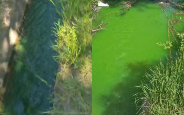 Apă verde în sectorul Buiucani. Termoelectrica vine cu explicații
