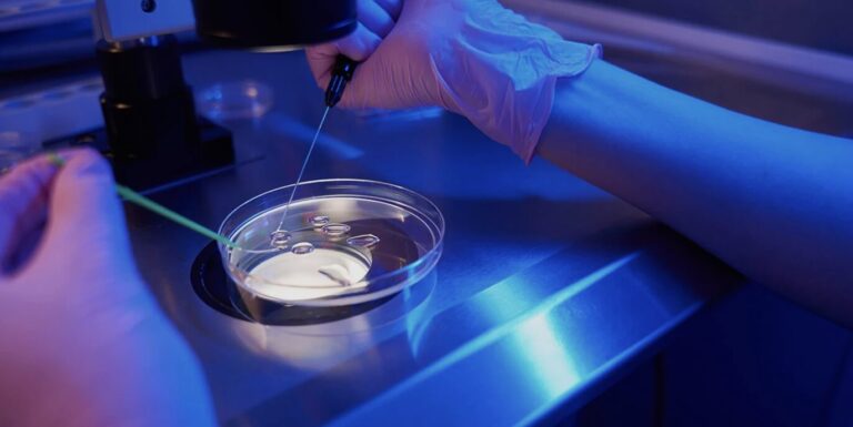DOC // Programul gratuit de fertilizare în vitro, oficial lansat în Republica Moldova
