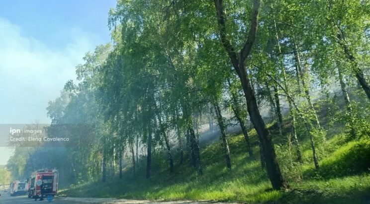 Flăcări în preajma Aeroportului Internațional Chișinău. La fața locului au intervenit 3 echipaje de pompieri