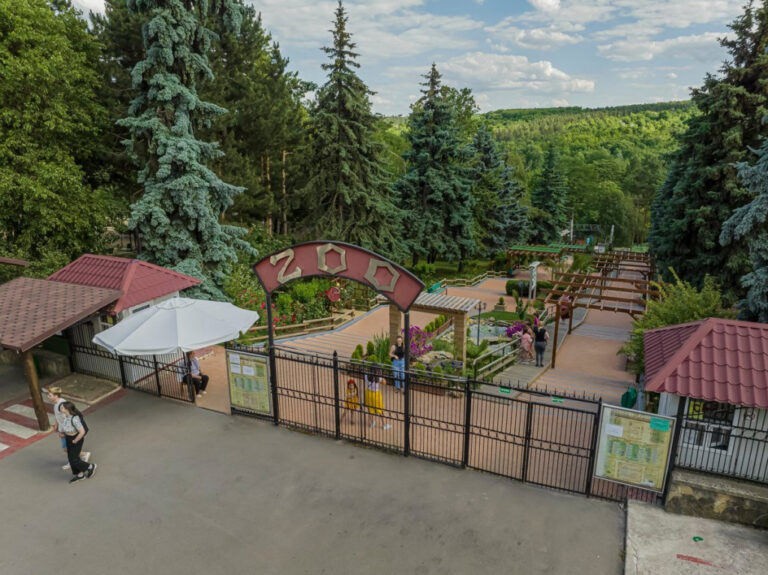 Grădina Zoologică din capitală își schimbă programul pentru perioada verii