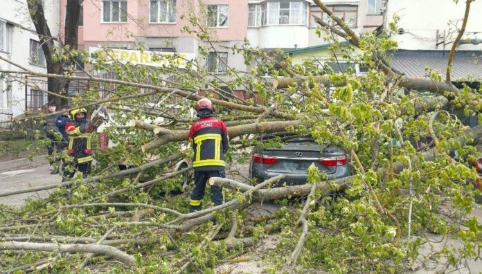 Copaci doborâți, conductă de gaz și linii electrice avariate. Ploaia și vântul a făcut ravagii