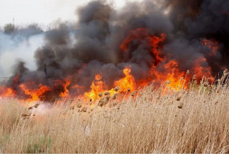 Prudență maximă! Meteorologii extind Codul Galben de pericol de incendii