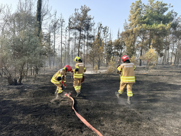 (foto) Intervenție curajoasă a pompierilor moldoveni, în Grecia. Salonicul în flăcări