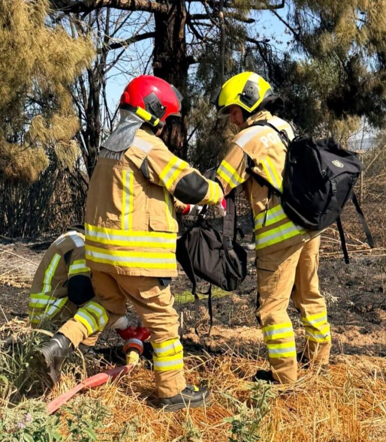 Pompierii moldoveni, la prima intervenție împotriva incendiilor în Grecia