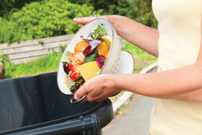 Moldova vrea să reducă risipa alimentară cu 30% până în 2030