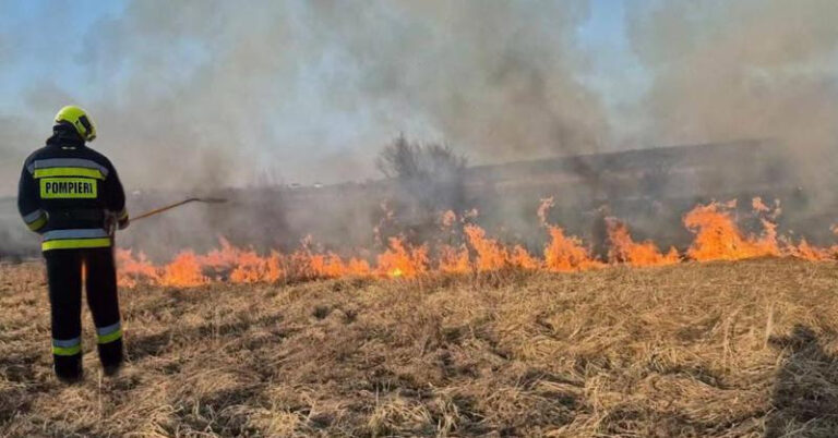 Zeci de hectare de teren distruse în patru raioane din Moldova. Pompierii au intervenit de urgență