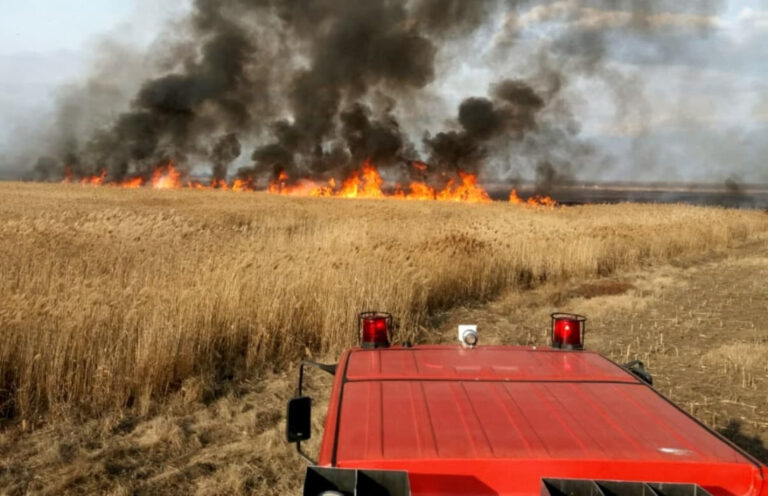 Incendiu puternic, la Telenești. Un agricultor a rămas fără zeci de hectare de roadă