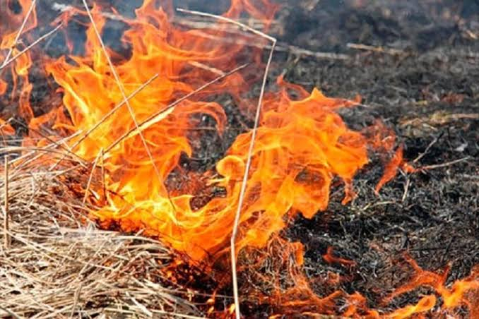25 de hectare mistuite de flăcări la Chișinău. Șase echipaje de pompieri au intervenit