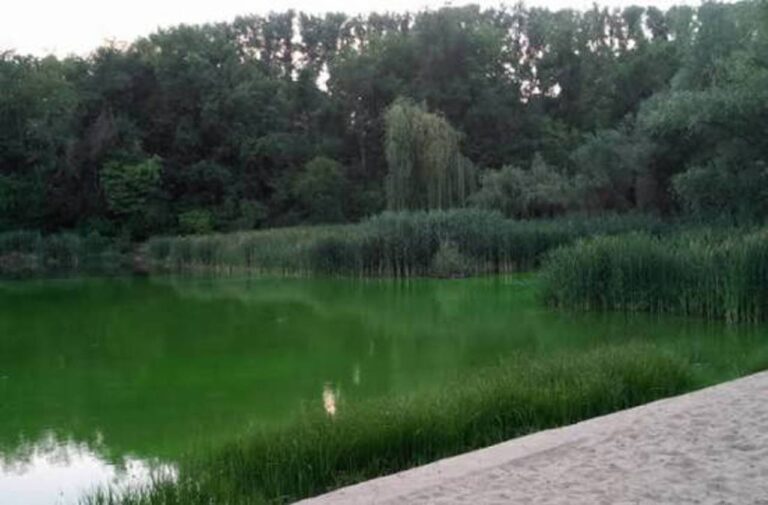 Agent termic revărsat în lacul „La Izvor”. Apa din zonă se poate colora în verde