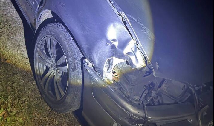 Grav accident rutier lângă satul Rassvet. O femeie ce ținea de o funie o bovină, a decedat
