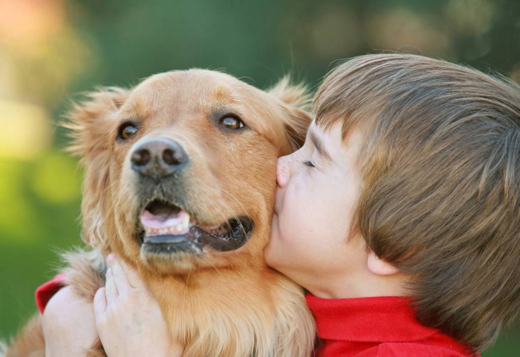 O platformă lansată în Moldova ajută la găsirea animalelor pierdute