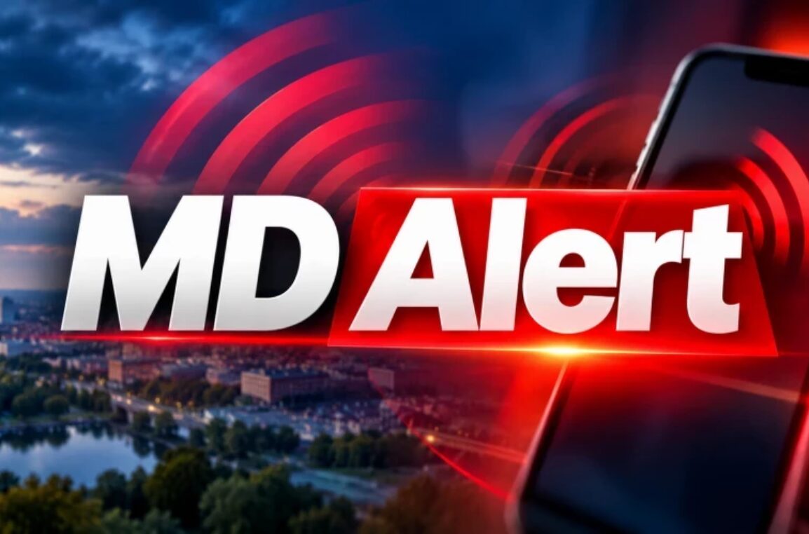 Avertizări direct pe telefon: când ar putea fi lansat sistemul MD Alert