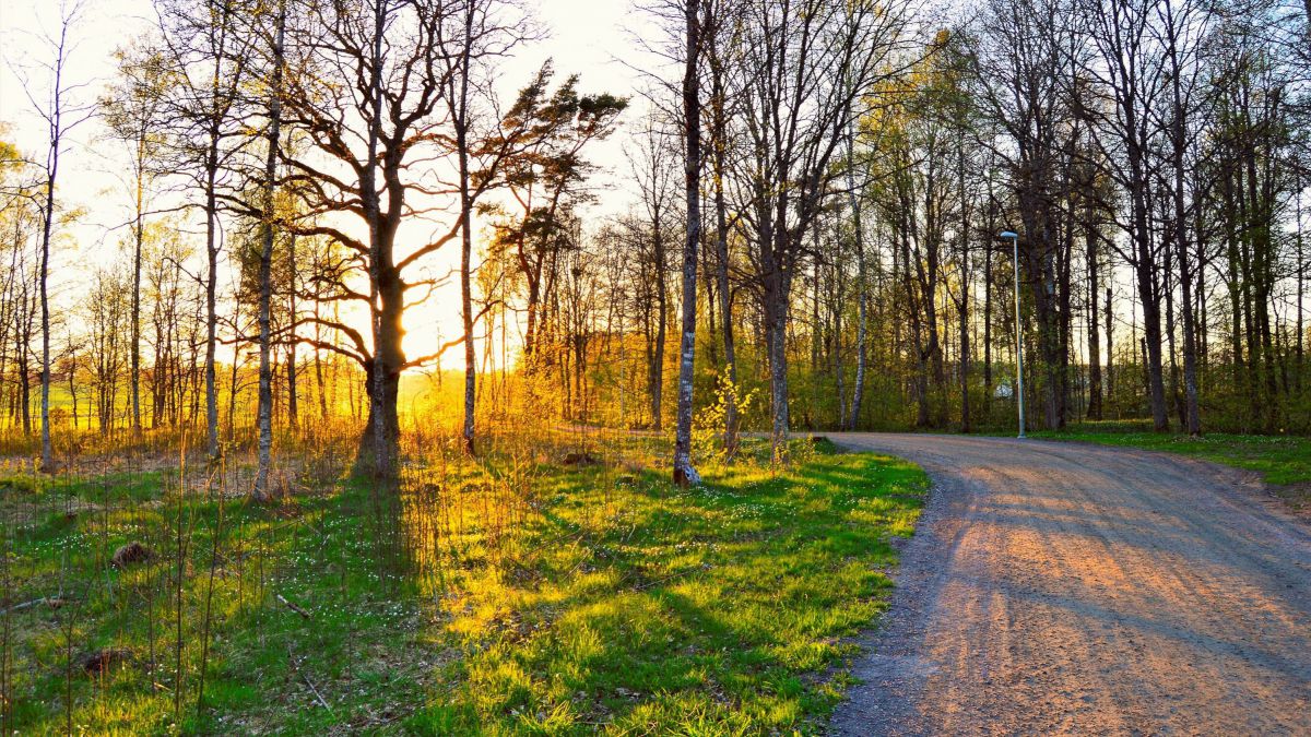 /METEO/ Vineri va fi cea mai caldă zi din acest mijloc de toamnă. Ce temperaturi vom avea parte și în acest weekend